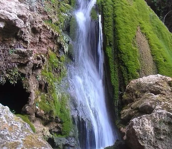 Duque De Calabria Manzanera